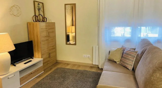 Студия Economy Apartamentos Nevada MIKKA