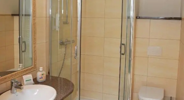 Двухместный номер Standard Hotel Sandro Silver & Spichlerz Antoniny