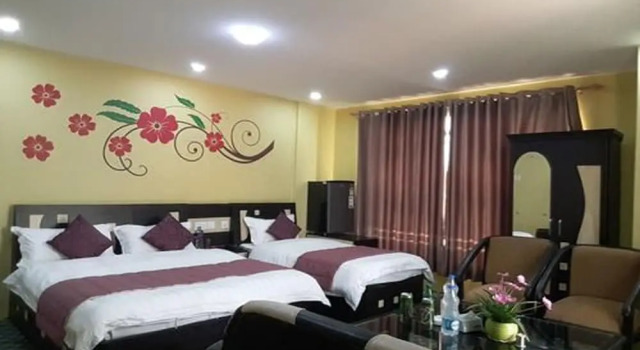 Номер Deluxe Asian Hotel Pvt Ltd