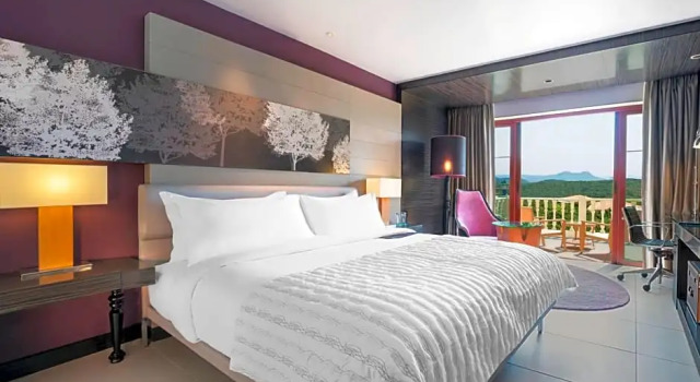 Двухместный номер Standard Le Méridien Mahabaleshwar Resort & Spa