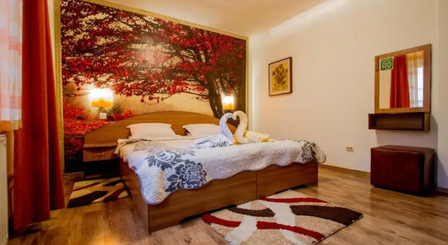 Номер Standard Pension Casa Timar