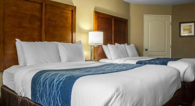 Четырёхместный номер Standard Spark by Hilton Phoenix-Glendale-Peoria