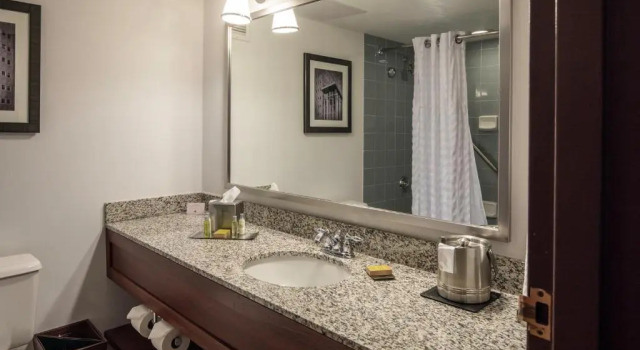 Номер с балконом DoubleTree by Hilton Pittsburgh - Cranberry
