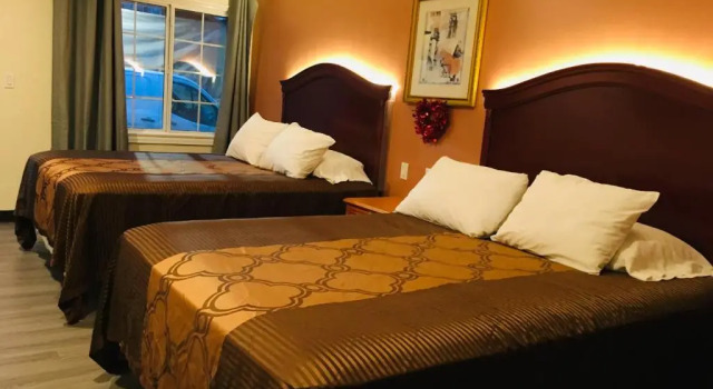 Двухместный номер Standard Lincoln Park Motel