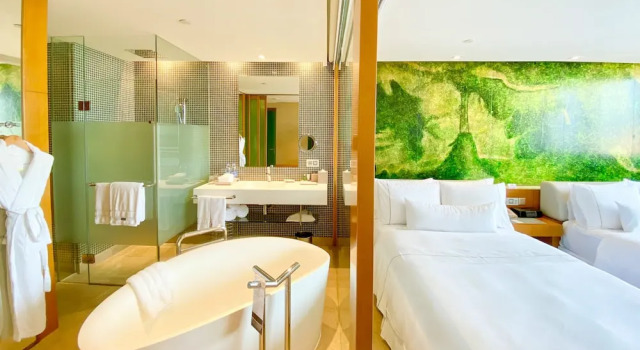 Двухместный люкс Club Lounge Access с видом на парк The Westin Shenzhen Nanshan