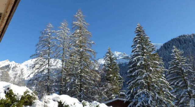 Appartement La Clusaz, 2 pièces, 4 personnes - FR-1-437-68