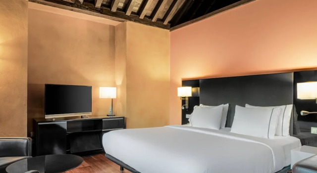 Двухместный номер Premium Deluxe Hotel Palacio de Santa Paula, Autograph Collection