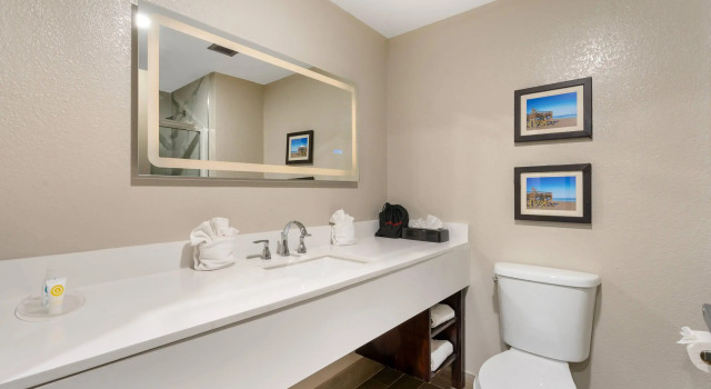 Двухместный люкс Comfort Suites West Jacksonville