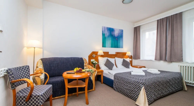 Четырёхместный номер Standard LH Hotel Mědínek Old Town