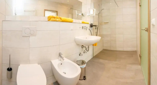 Номер Deluxe Hotel Spitzenpfeil