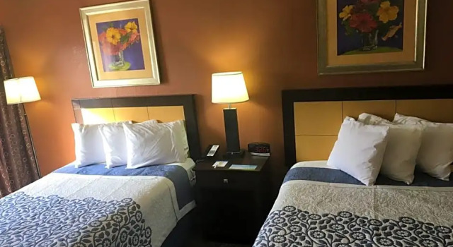 Номер Deluxe Days Inn & Suites by Wyndham Tampa Fairground-Casino-Ybor