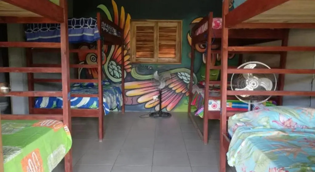 Кровать в общем номере Ruamoko Hostel