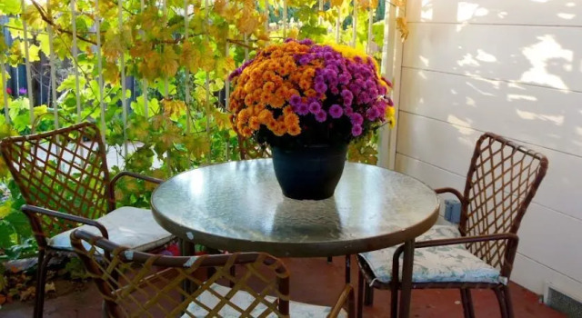 Spring Hill Cottage, Prenota Casa vacanze Grass Valley California