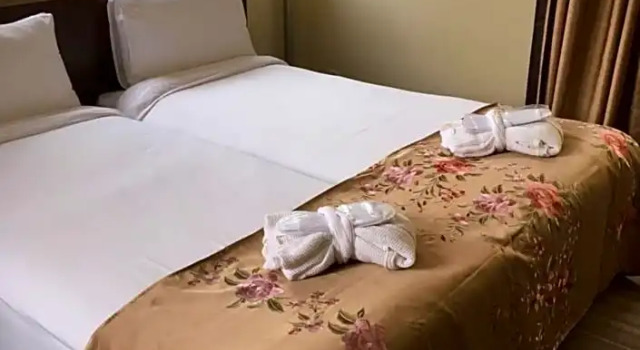 Двухместный номер Classic с балконом Hotel Harder Minerva