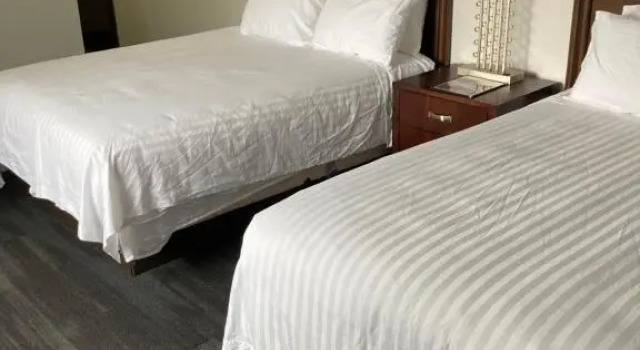 Номер Deluxe Elker Inn & Suites