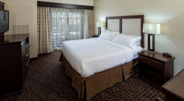 Двухместный номер Standard с балконом Holiday Inn Resort Deadwood Mountain Grand by IHG