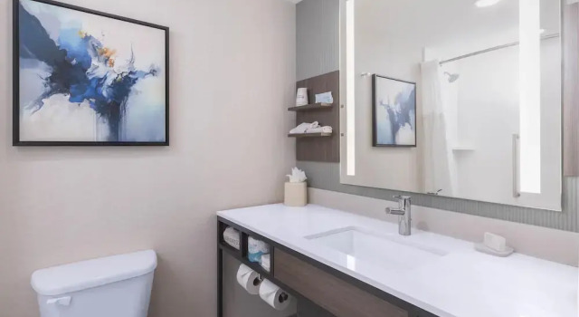 Четырёхместный номер Premium Hilton Garden Inn Des Moines/Urbandale