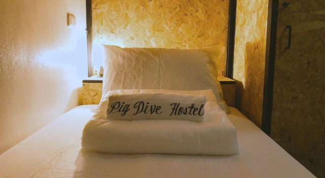 Pig Dive Hostel