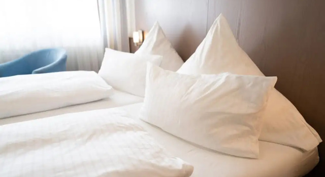 Номер Standard ates Hotel Kehl