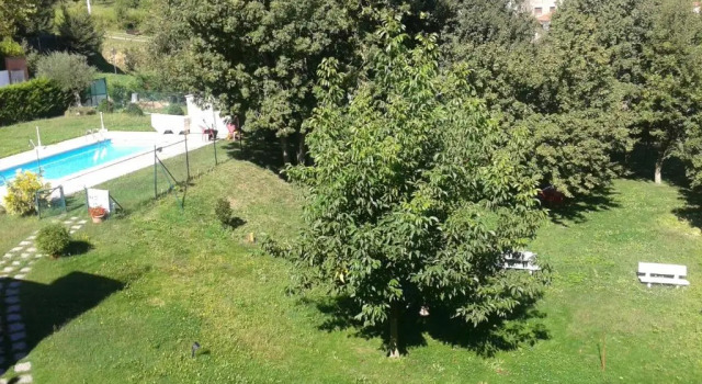 Номер Standard Apartamentos Fonda Finet