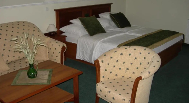 Двухместный номер Standard Kígyósi Csárda & Panzió