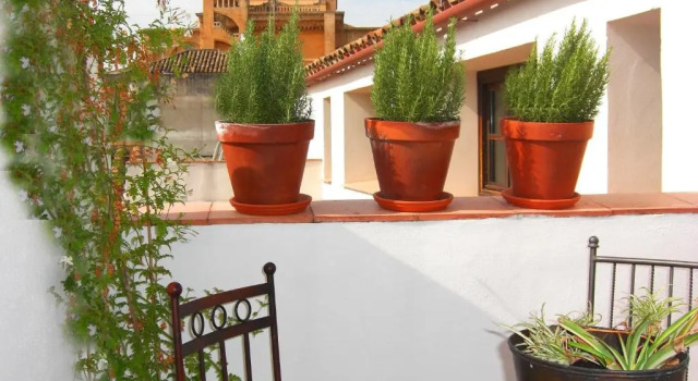 Апартаменты Дуплекс с 2 комнатами Apartamentos Los Patios de la Judería