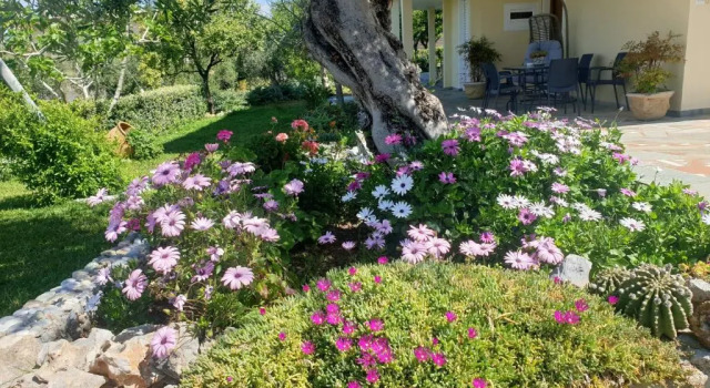 Апартаменты Deluxe Studio Holiday Kalamata