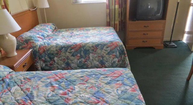 Четырёхместный номер Standard Country Lodge