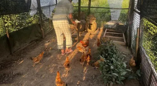 Yiyuan Linyang Homestay, Book Hotel Wuyuan Jiangxi