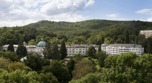 Номер Standard Maritim Hotel Bad Wildungen