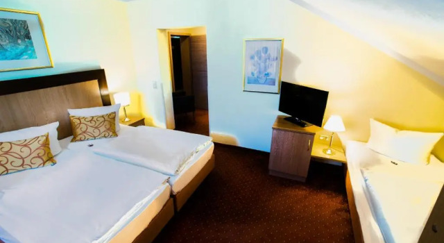 Трёхместный номер Standard Hotel & Living Am Wartturm