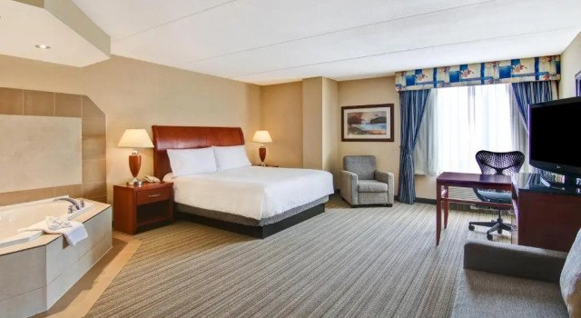 Номер Standard Hilton Garden Inn Toronto/Burlington