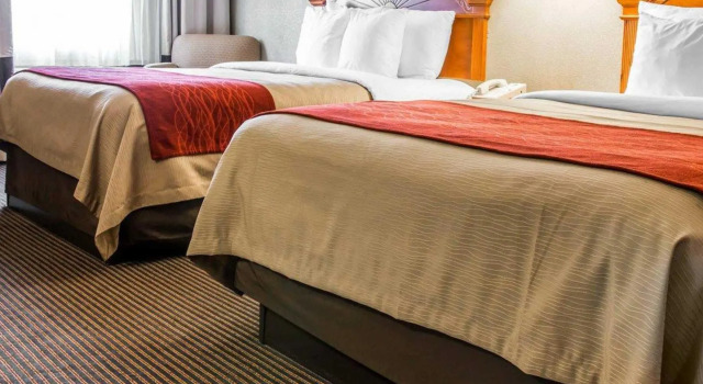 Двухместный номер Standard Quality Inn and Suites Airport
