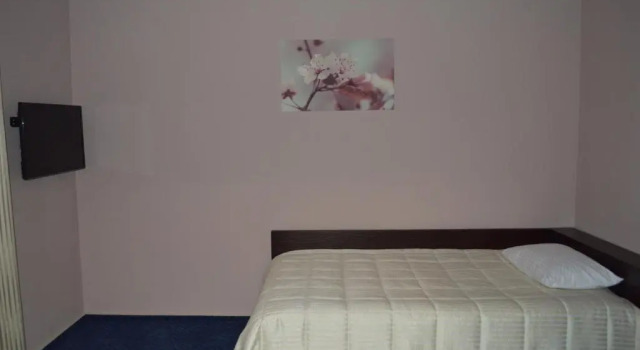 Standard chambre Gosudar Hotel