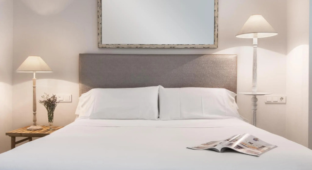 Апартаменты c 1 комнатой Suites Sevilla Plaza