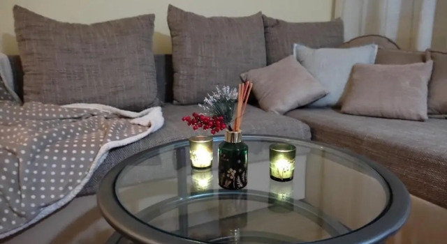 Cozy green house (free parking spot), Buchen Sie Ferienwohnung Belgrad Zentralserbien