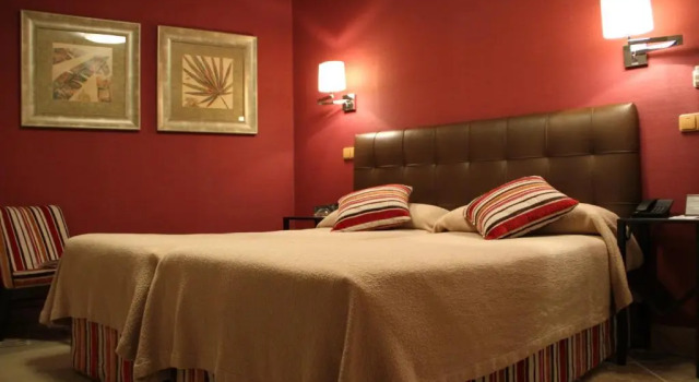 Palacio Dos Olivos, Rezerwuj Hotel Galdeano Nawarra