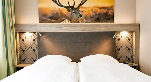 Номер Deluxe Akzent Hotel Bavaria Oldenburg