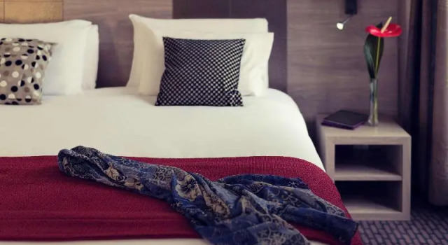 Двухместный номер Premium Mercure Annecy Centre