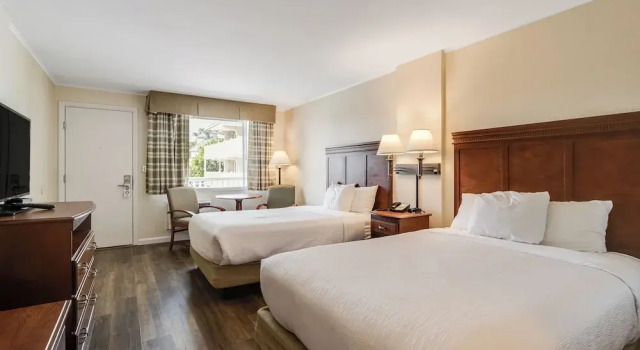 Четырёхместный номер Deluxe с видом на бассейн Oceanus Motel - Rehoboth Beach