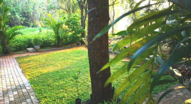 Номер Standard The Cattleya Guest House Sigiriya
