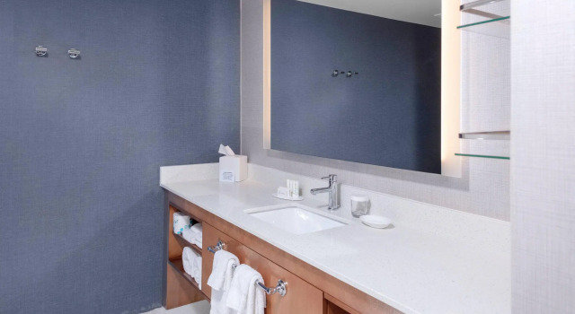 Четырёхместный люкс c 1 комнатой Residence Inn by Marriott Virginia Beach Town Center