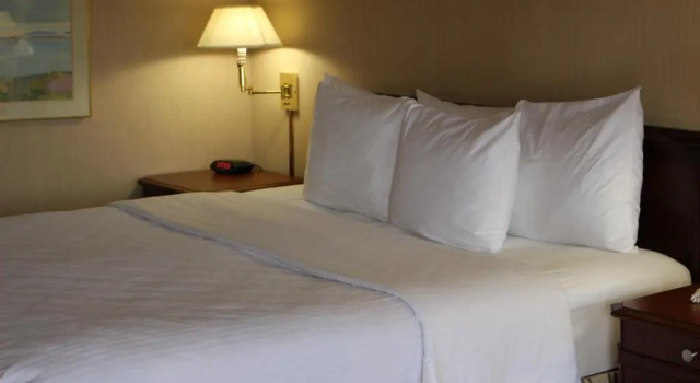 Номер Standard Days Inn & Suites by Wyndham Sunnyvale