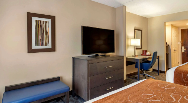 Четырёхместный номер Standard Comfort Suites Alpharetta-Roswell - Atlanta Area