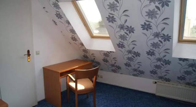 Одноместный номер Standard Hotel Draschwitz