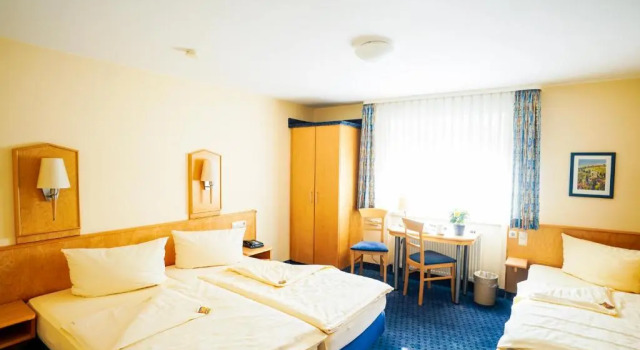 Трёхместный номер Standard Hotel Sauer Garni