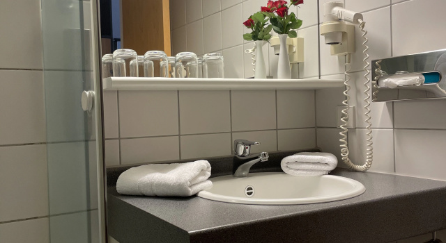 Двухместный номер Comfort с балконом PLAZA INN Heidehof