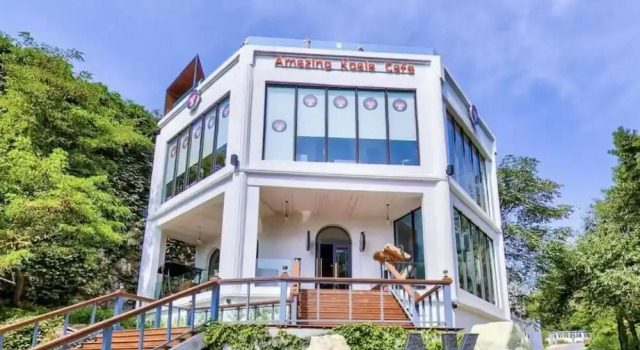 Amazing Koala Hostel Dalian, Book Hostel / Vandrerhjem Hostels i Dalian, Hostel / Vandrerhjem