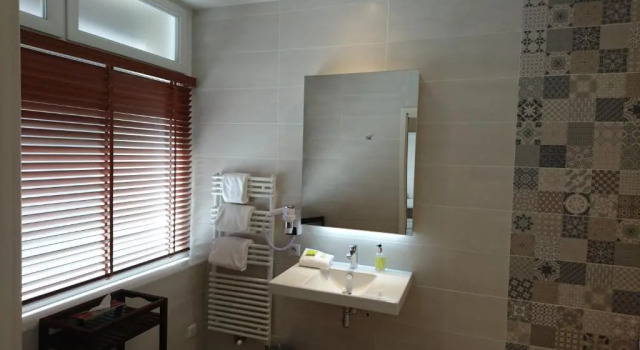 Двухместный номер Standard Цокольный этаж Hotel Ajoncs dOr