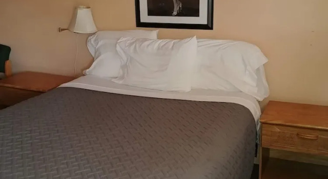 Standard Einzel Zimmer Cactus Inn